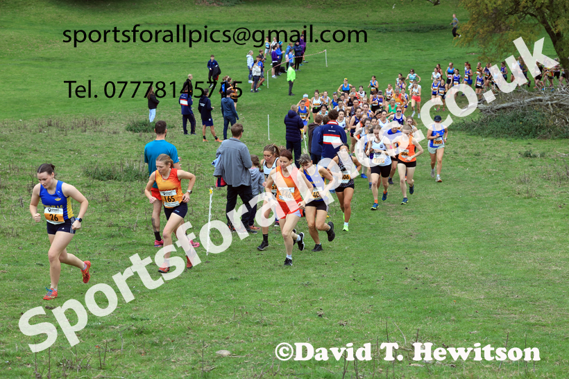 Senior Womens 2025 Start Fitness NEHL, Thornley Hall Farm, Peterlee, County Durham. Photo: David T. Hewitson/Sports for All Pics